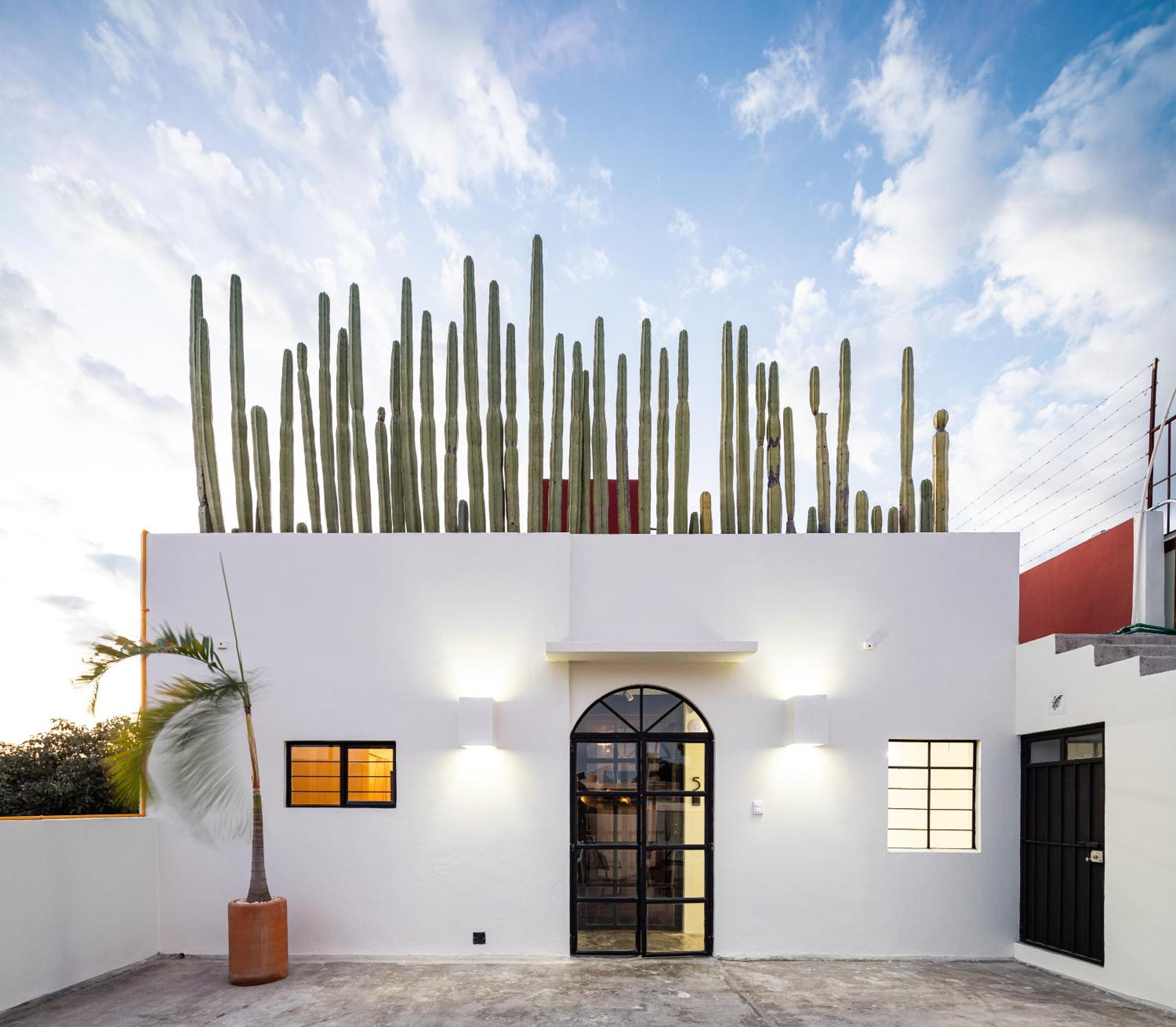 Casa Lumos - Minimalist Comfort Suites In Centro Historico Oaxaca Ngoại thất bức ảnh