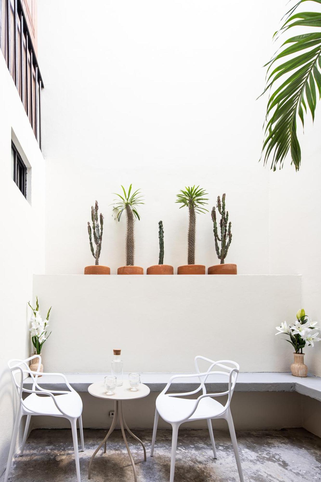 Casa Lumos - Minimalist Comfort Suites In Centro Historico Oaxaca Ngoại thất bức ảnh