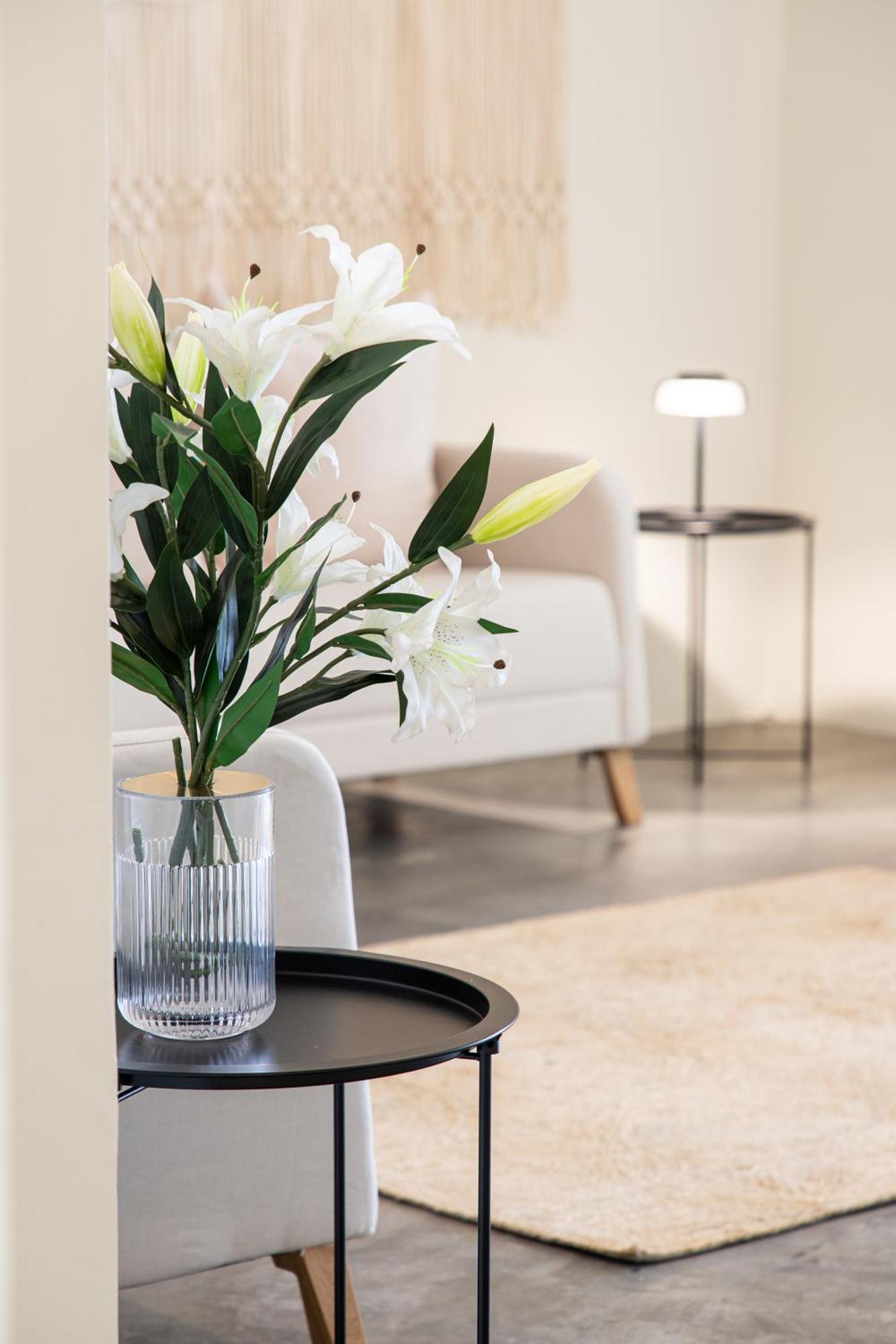 Casa Lumos - Minimalist Comfort Suites In Centro Historico Oaxaca Ngoại thất bức ảnh