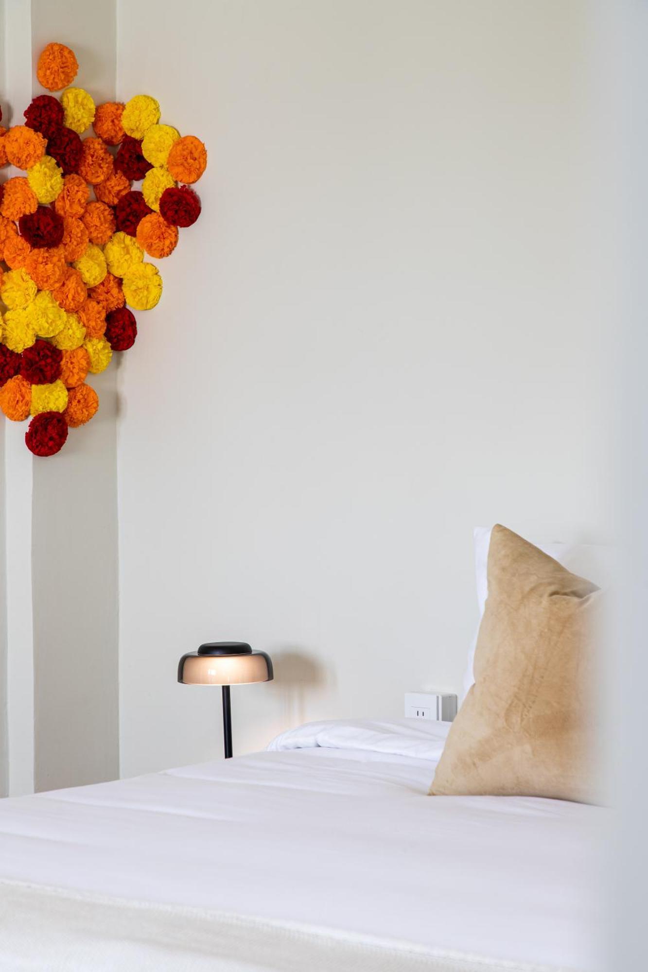 Casa Lumos - Minimalist Comfort Suites In Centro Historico Oaxaca Ngoại thất bức ảnh